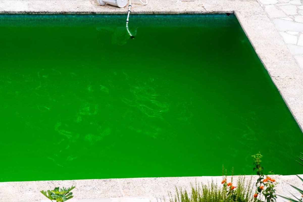 A backyard pool with water turned opaque green by an algae bloom