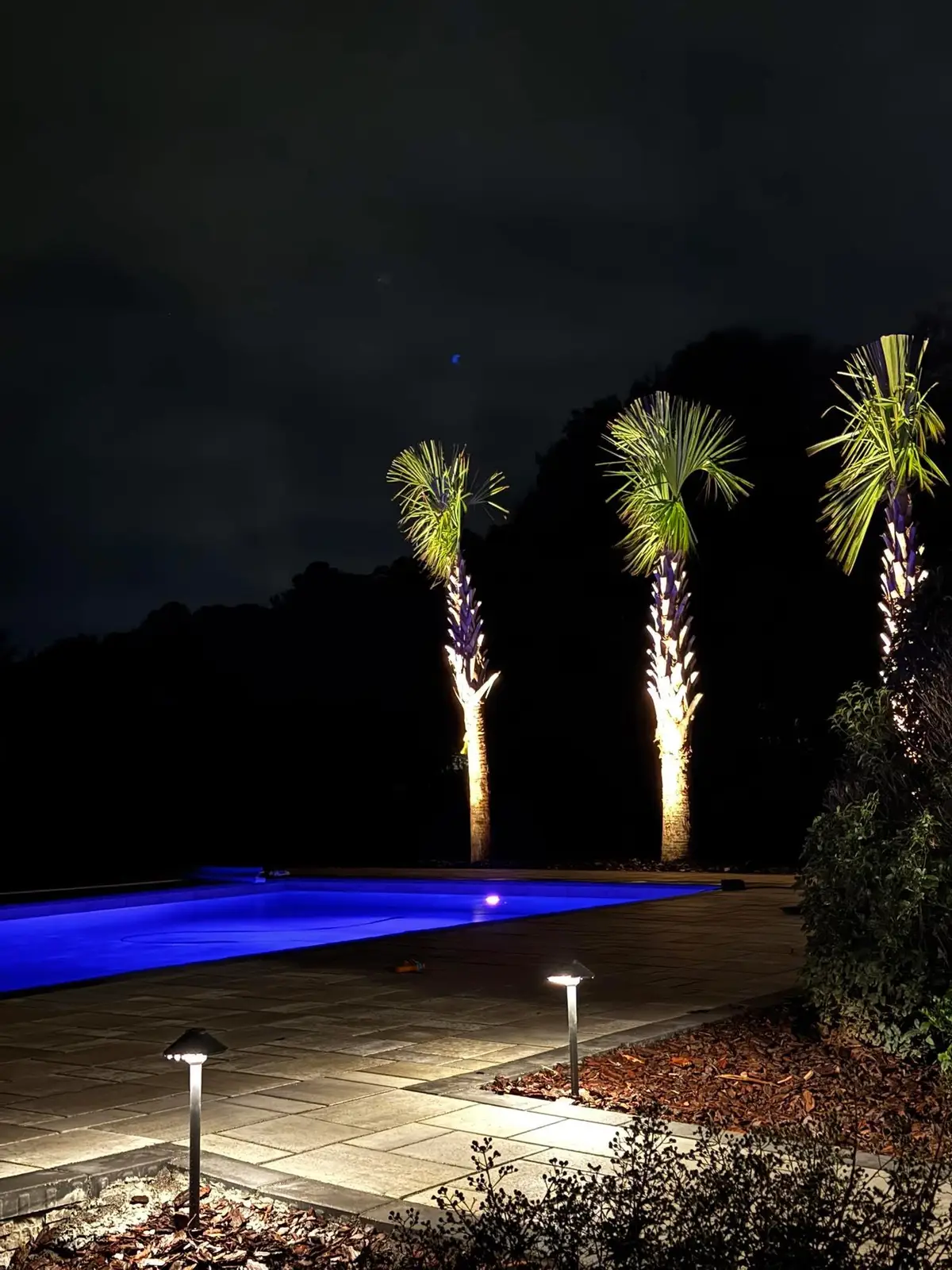 Custom gunite pool in Monroe, NC, view 10