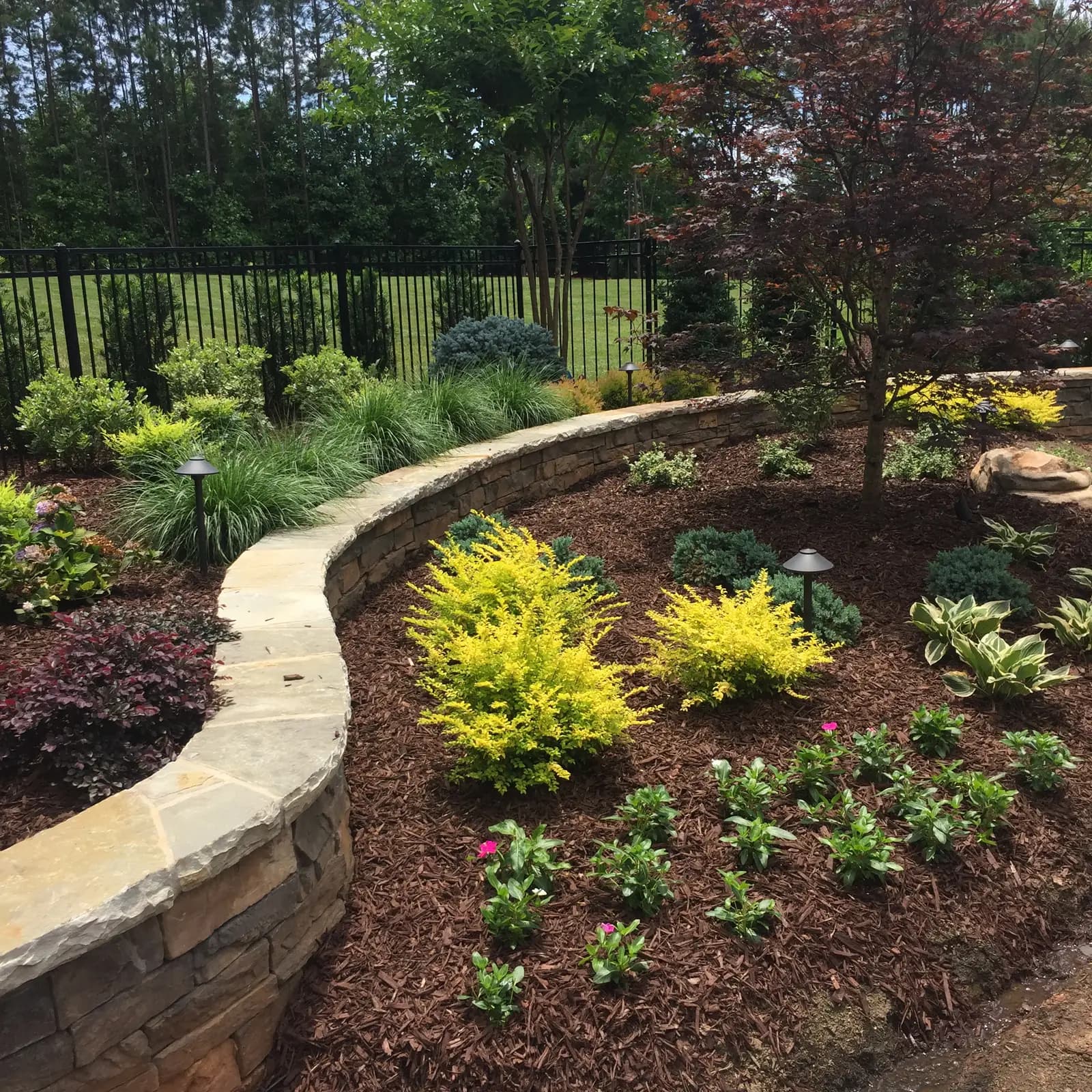 Landscape planting with outdoor lighting in Davidson, NC built by Aqua Pools & Outdoor Living