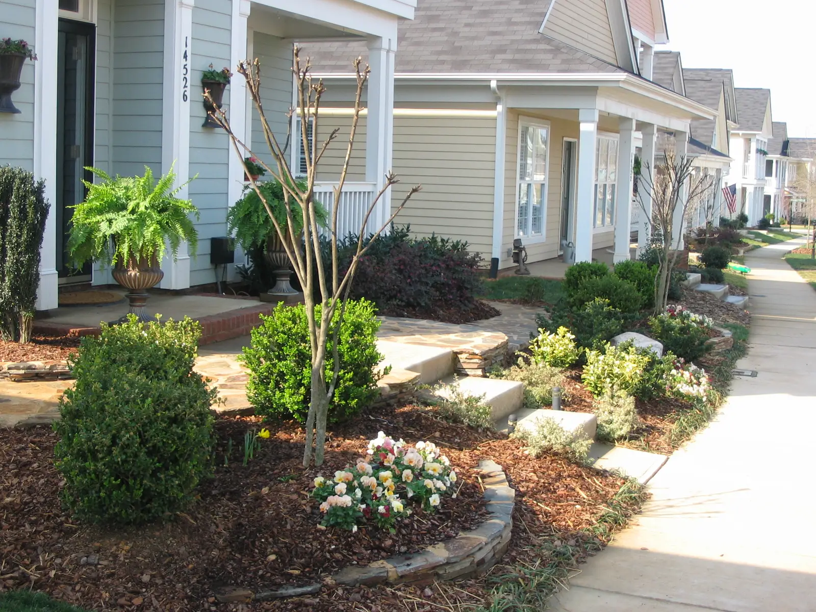 Landscape planting 04 near Charlotte, NC built by Aqua Pools & Outdoor Living