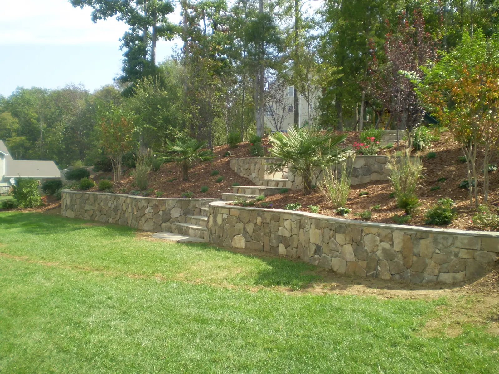 Landscape planting with drainage work near Charlotte, NC built by Aqua Pools & Outdoor Living