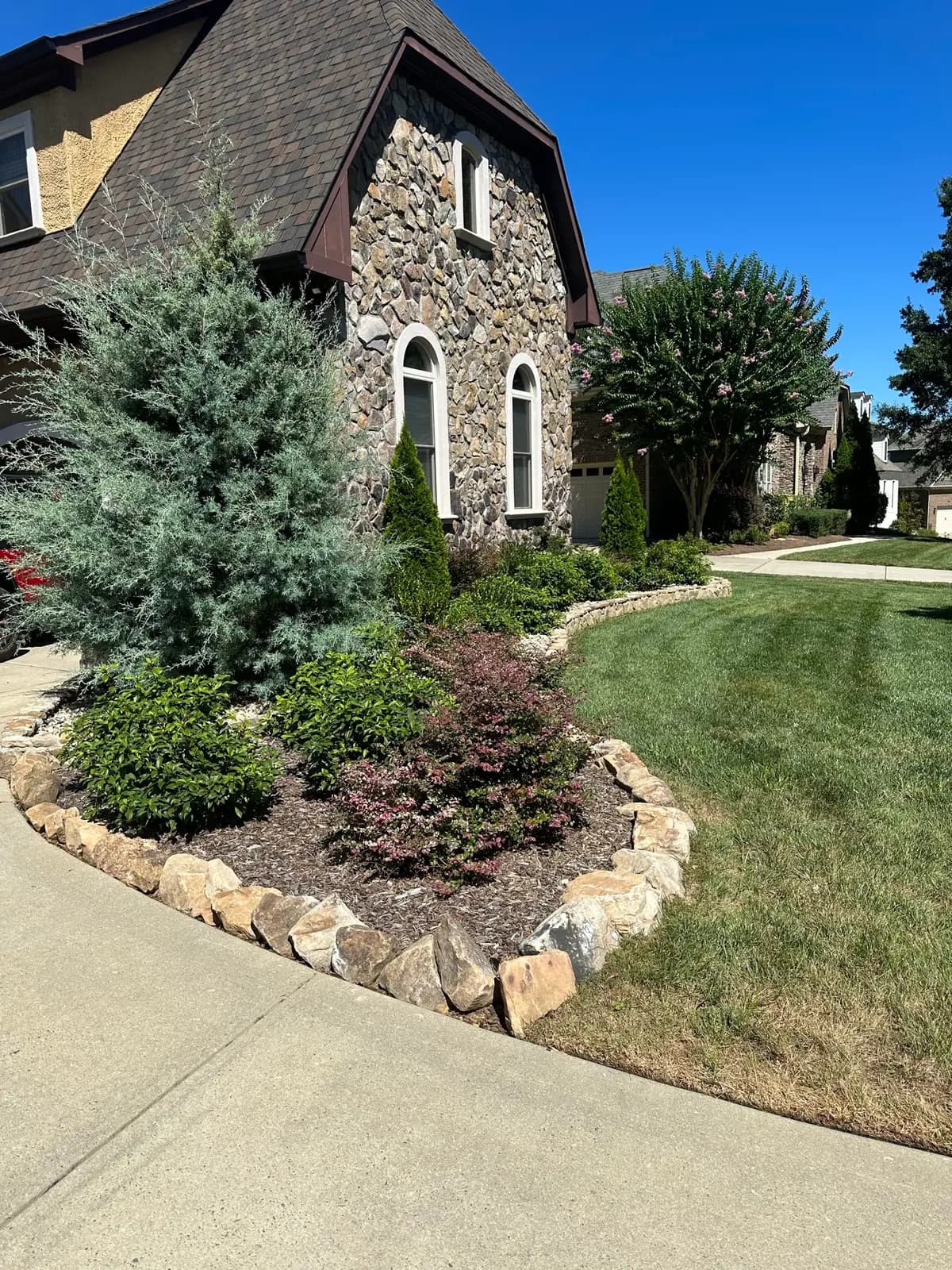 Landscape planting near Charlotte, NC built by Aqua Pools & Outdoor Living