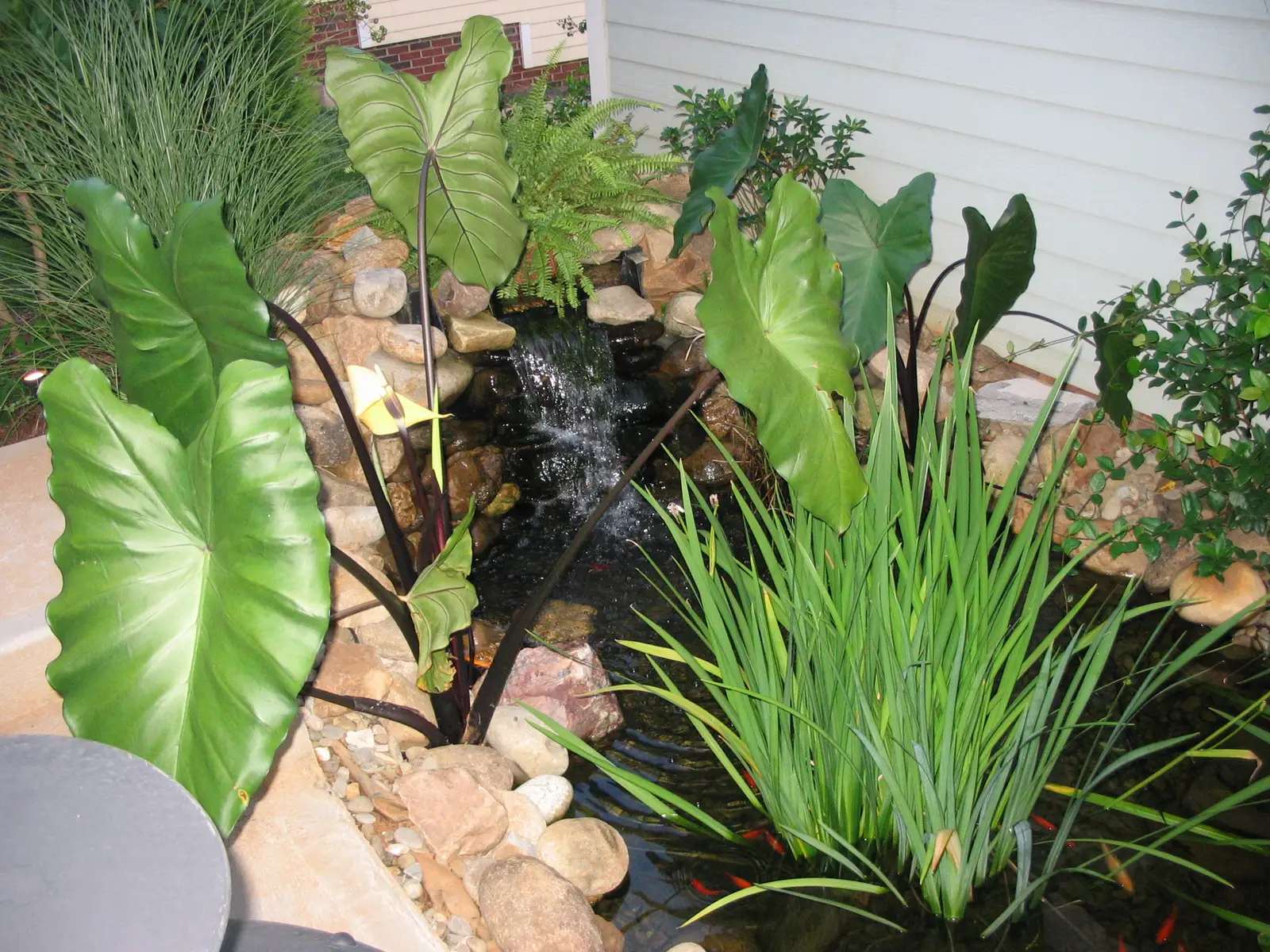Water feature 02 near Charlotte, NC built by Aqua Pools & Outdoor Living