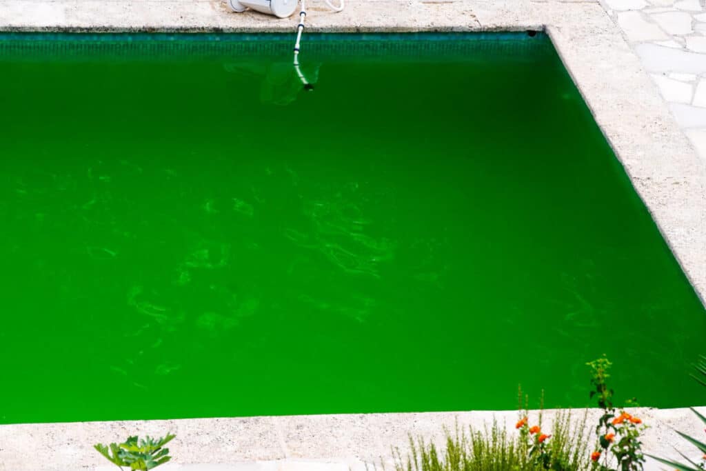 why would a swimming pool turn green